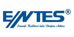 Entes Logo