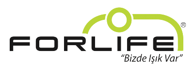 Fe Logo